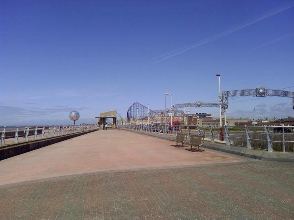 Zebra Blackpool